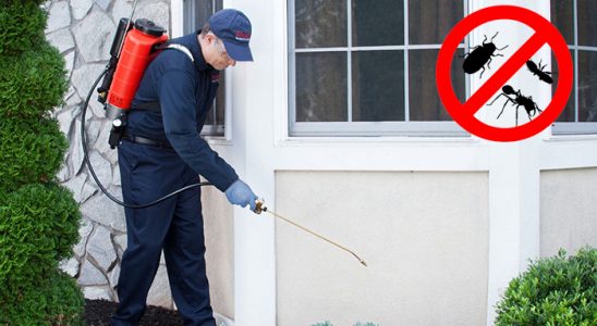 Gümüşhacıköy Böcek ve Haşere İlaçlama böcek ilaçlama ve haşere kontrolü — ilaclama-tr.com